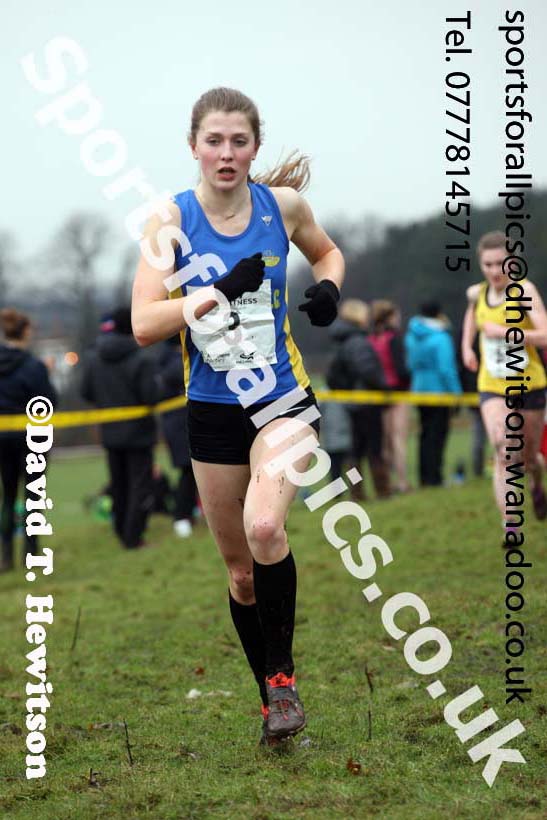 Womens under-20a  Northern Cross Country, Knowsley Safari Park. Photo: David T. Hewitson/Sports for All Pics